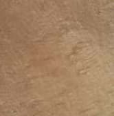 Epoxy Floor