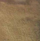 Epoxy Floor